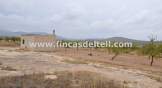 Plot of land in Pinoso