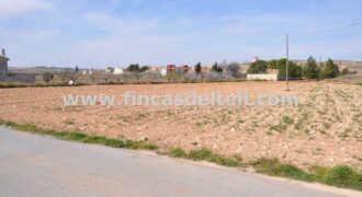 Solar urbano en Jumilla