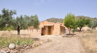 Finca rústica con casita en Yecla