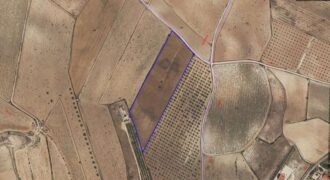 Parcela para construir con agua de riego