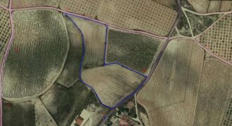 Parcela para construir en el término de Pinoso