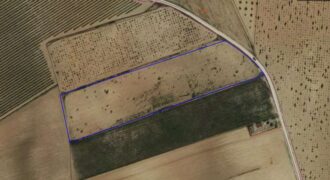 Parcela para construir con agua de riego
