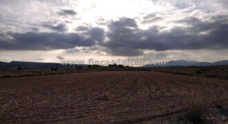 Parcela para construir con agua de riego