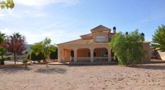 Vivienda unifamiliar aislada con piscina-Monóvar