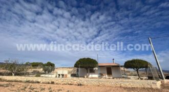 Casita de campo con terreno en Pinoso