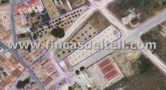 Solar industrial en Algueña