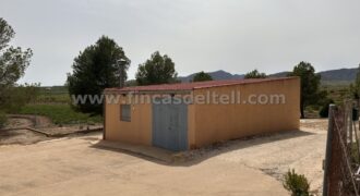 Casa de campo con terreno en Pinoso