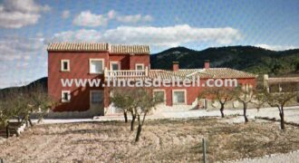 Chalet con piscina en Pinoso