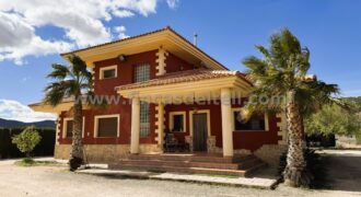 Chalet con piscina a 4 km de Pinoso