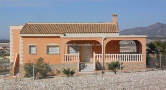 Chalet situado en término de Jumilla