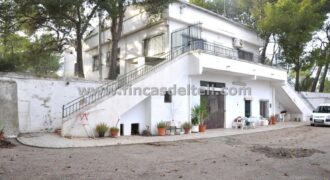 Casa de campo con terreno en Pinoso