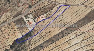 Parcela urbana en Umbria de la Zarza