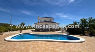 Chalet con piscina en Pinoso