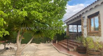 CHALET EN PINOSO