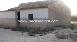Casa de campo con parcela en Pinoso