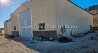 Nave agrícola con terreno en Jumilla