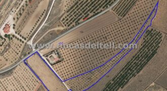 Terreno rústico a 6 km de Pinoso