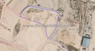 Parcela rústica para construir en Jumilla