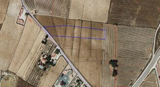 PARCELA RÚSTICA EN PINOSO