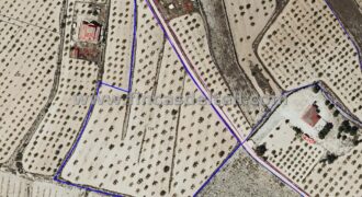 Parcela rústica en Pinoso