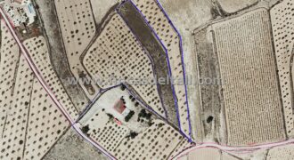 Terreno rústico en Monóvar