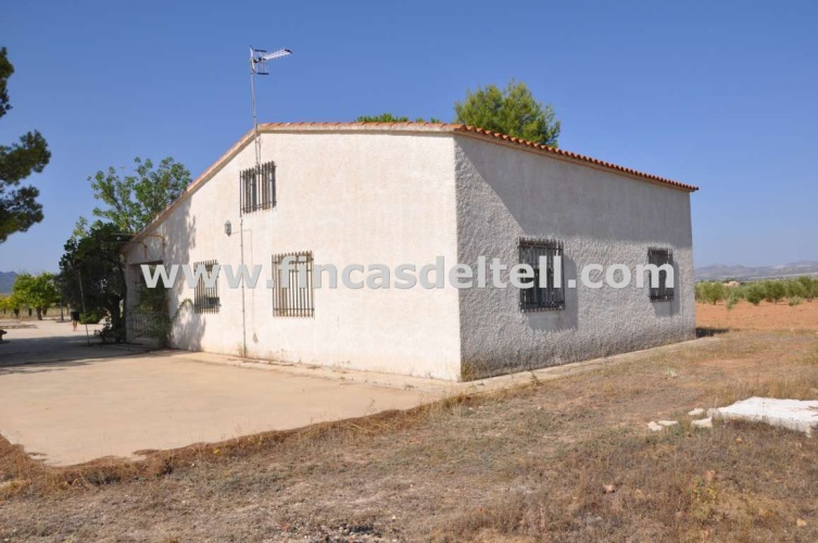 Yecla,4 Dormitorios Dormitorios,1 Habitación Habitaciones,1 BañoBaños,Casa de campo aislada / Country house detached,1577