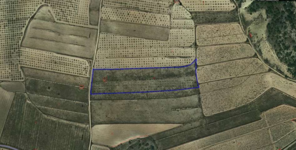 Pinoso Area,Parcelas para construir / Building plots,1736