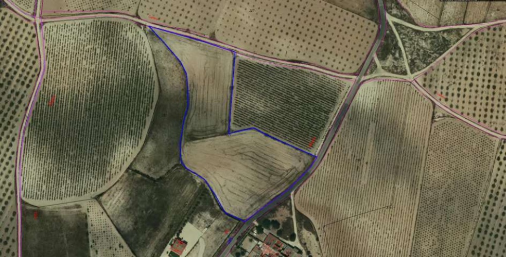 Pinoso Area,Parcelas para construir / Building plots,1737