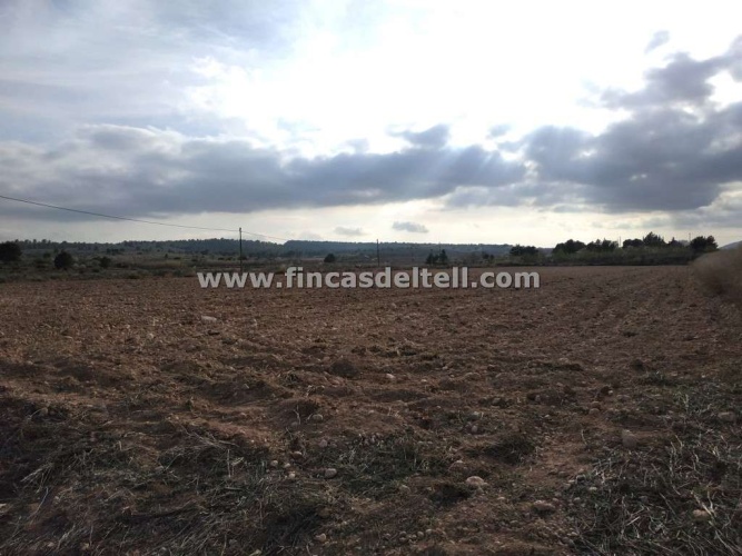 Pinoso Area,Parcelas para construir / Building plots,1741