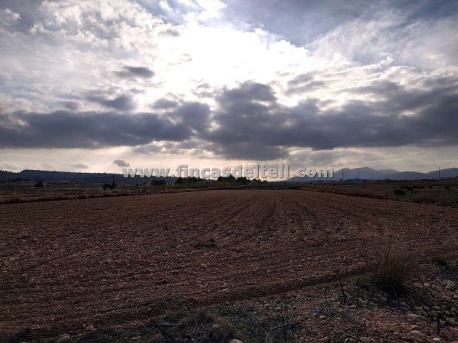 Pinoso Area,Parcelas para construir / Building plots,1741