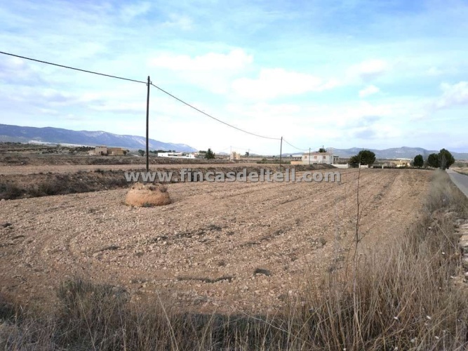 Pinoso Area,Parcelas para construir / Building plots,1741