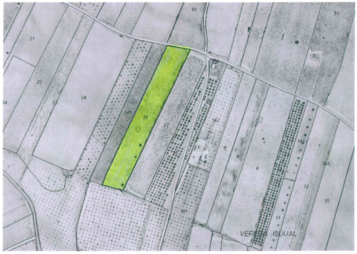 Pinoso Area,Parcelas para construir / Building plots,1749