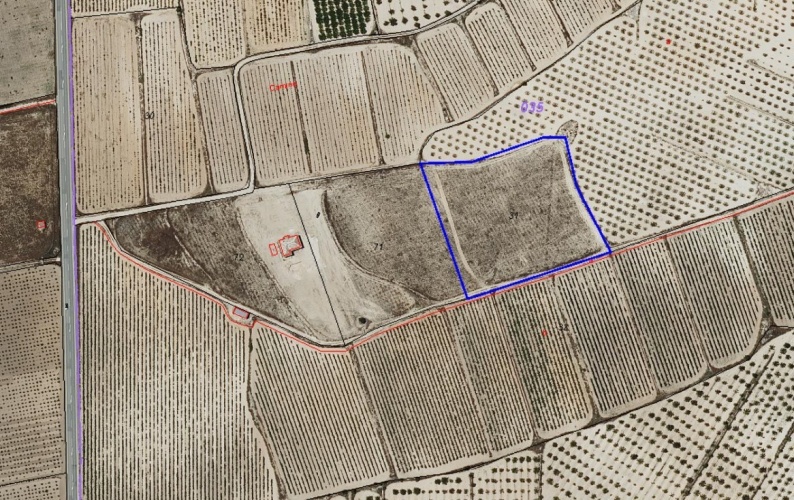 Pinoso Area,Parcelas para construir / Building plots,2238