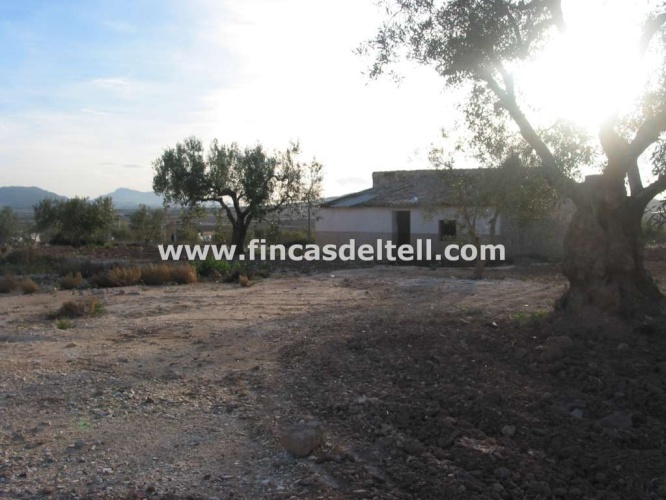 Pinoso Area,Casa de campo aislada / Country house detached,1279